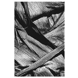 Kunstraum La Palma